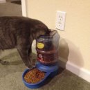 센스쟁이 이미지