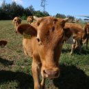 행복한 소농장 이미지