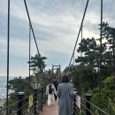 [여행] 경주 버스투어 추천 / 핫플트립 / 경주핫플버스(All Day - 불국사, 주상절리 파도소리길, 읍천항...
