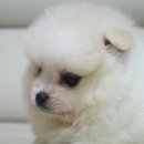 은아농장 이미지