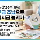 현명한 주부의 고급진 재테크 | 국민연금 추후납부 신청, 소득 없는 주부 임의가입자 반환일시금 수령액 늘리기