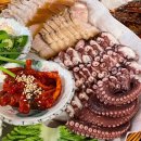 해운대 술집 추천 남천집 문어삼합과 막걸리 완벽 조합 핫플 맛집 후기
