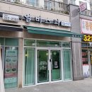 일비스파
