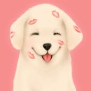 펫(PET)과 함께 이미지