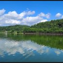 세종공원 이미지