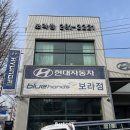 보라점 현대자동차 이미지