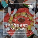 송수초등학교병설유치원 | 함께 담가 더 의미 있었던 시간-송수초 병설유치원 김치 담그기 체험
