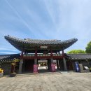 제주양로원 | 제주 시내 아이와 갈만한 곳: 관덕정 &amp; 제주목 관아 완벽 가이드