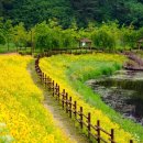 악양생태공원 이미지