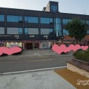 진애연