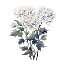 일곱빛깔유통 - 부천시 원미구 옥산로138번길 30 | 이빈섬의 '국화설(菊花說)'