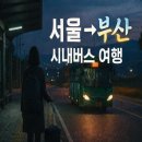 야탑역.종합버스터미널(전면) | 유튜버 쏘이가 도전한 서울에서 부산 시내버스 여행｜실제 루트·시간표 정리