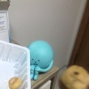 쫄랭쫄랭 이미지