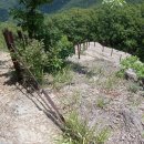 공원치안센터 이미지