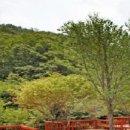 펜션벨뷰캠핑장 이미지