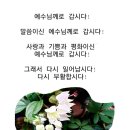 ＜연중 제15주간 목요일＞(7.18) 이미지