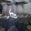 수영강변대로 이미지