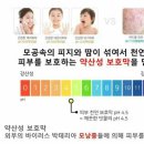 샘스킨&바디