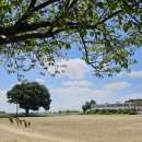 황화초등학교 이미지