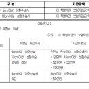 [자녀가입]안면부 상해흉터복원(성형) 수술비 특별약관 이미지