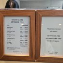 [서울 숙소] 서울 신라호텔 야외 수영장에서 물놀이 후 치맥 후기 (ft. 어반 아일랜드)