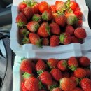 O.K당구장 이미지