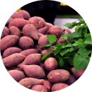 농업과학기술센터 이미지