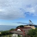 금두꺼비 민박 | [포항] 바다 앞 마음이 편안해지는 촌캉스 숙소 ‘선바우집’ (feat. 고앵이들🐱)