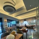 댕댕플래닛 이미지