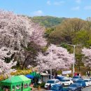 인천대공원시설공단 네이버블로그