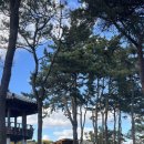 군서치안센터 이미지