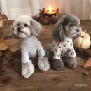 THE POOCH(푸치) 이미지