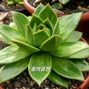 꿈의궁전 이미지