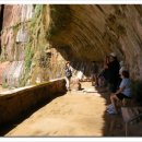 자이언(ZION) 이미지