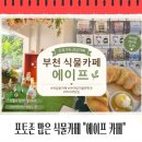 아이랑 가기좋은 포토존 많은 식물카페 에이프 후기