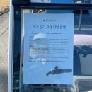 파인비치 코스 금잔디로 교체전 양잔디로 마지막 1박2일 국내골프여행 후기