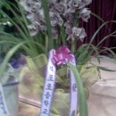 격포초등학교 이미지