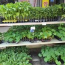 부농농약사 이미지