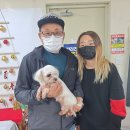 GS25포항송도 Daum카페
