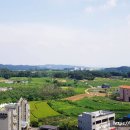 파란하늘공인중개사사무소 이미지