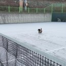 경산생활체육공원 Daum카페