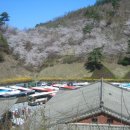 2008.04.19 18차 기차여행번개(진안 마이산 벚꽃, 진안5일장 기차여행) 이미지