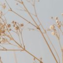 포레성형외과의원 이미지