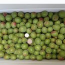 봉덕농장 이미지