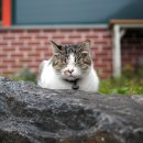 청평댐공인중개사사무소 이미지