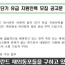교민인력 Daum카페