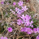 느림보농장 이미지