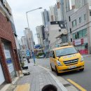 강철태권도체육관 이미지