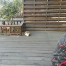 시아도펜션 이미지