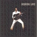 Burning Love 이미지